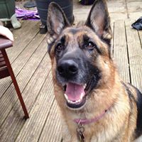 Jacqueline Burton Photo 8