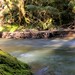 John Blodgett Photo 22