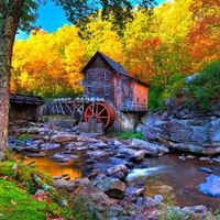 Pamela Keenan Photo 15