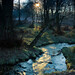 Dawn Brooks Photo 7