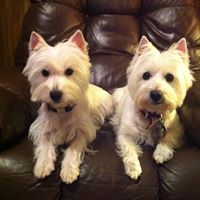 Teresa Matlock Photo 16