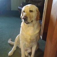 Cindy Easterling Photo 4