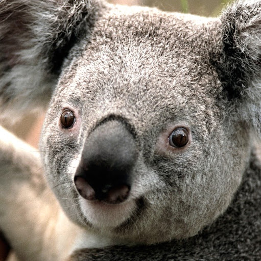 Randy Rowland Photo 38