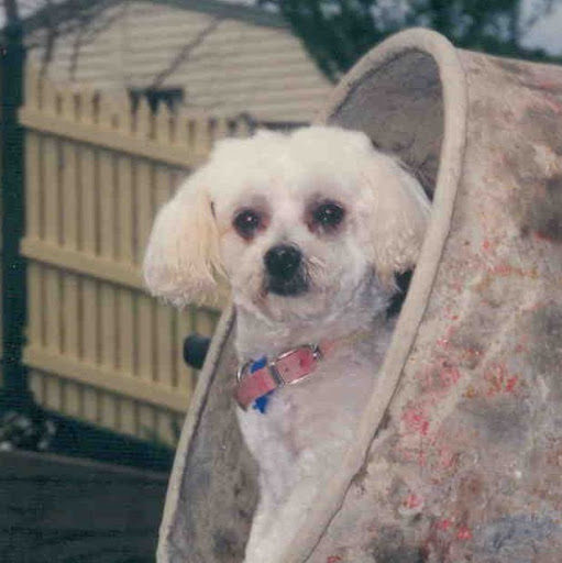 Judith Watson Photo 29