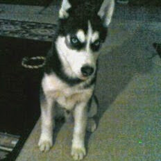 Dorothy Downs Photo 20