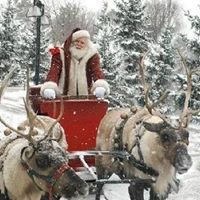 Brenda Cochran Photo 42