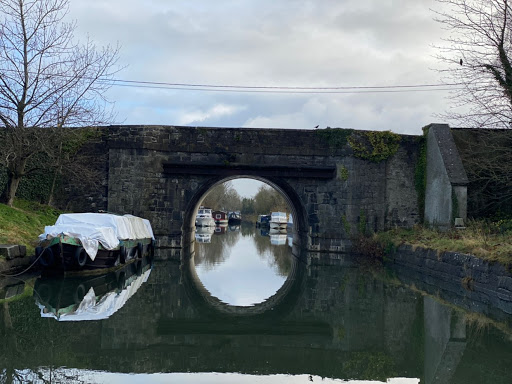 Julie Mcnamara Photo 35