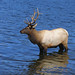 Sandy Estes Photo 33