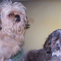 Linda Hollenbeck Photo 18
