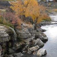 Susan Merrell Photo 27 Susan Merrell Photo 27