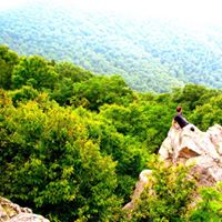 Thomas Chester Photo 17