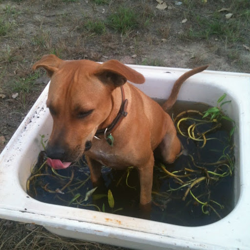 Tim Fitzgibbon Photo 12