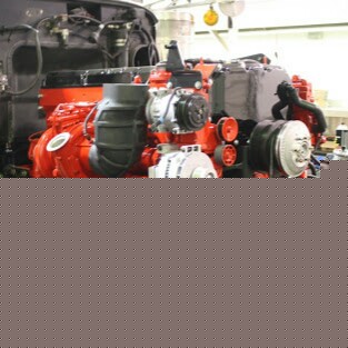 Ernesto Torres Photo 19