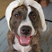 Kristin Stanford Photo 8