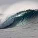 David Troyer Photo 39