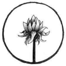 Patrick Gregory Photo 25