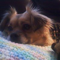 Sadie Spaulding Photo 2