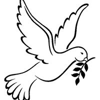 Christine Vandyke Photo 15