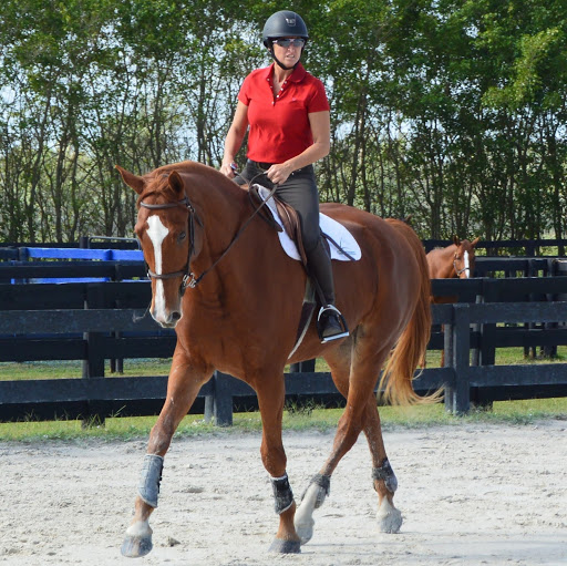 Joyce Lambert Photo 28