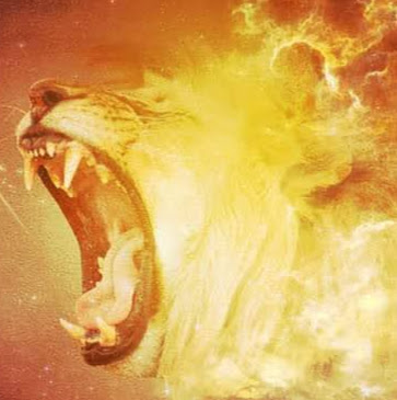 Jamie Lewis Photo 12