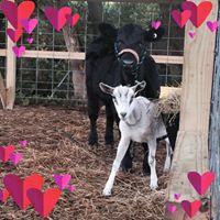 Cathy Dillon Photo 36