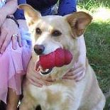 Michelle Lund Photo 14 Michelle Lund Photo 14