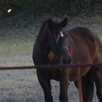 Cynthia Lovell Photo 29