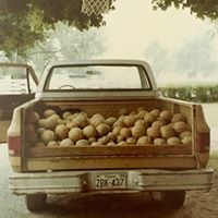 Sara Baugher Photo 6