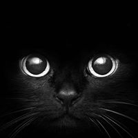 Rebecca Hatfield Photo 43