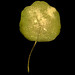 Binh Danh Photo 9