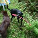Trudy Camp Photo 12