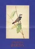 Little Book Of Birds Little Book Of Birds