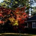 Stacey Weaver Photo 37