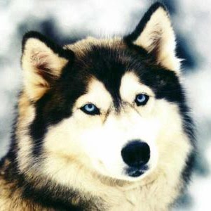 Alexandra Lucas Photo 18