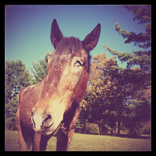 Julie Monroe Photo 37 Julie Monroe Photo 37