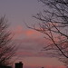 Dawn Greer Photo 32