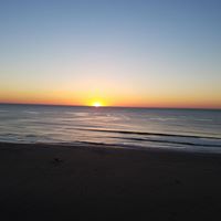 Robin Snyder Photo 34