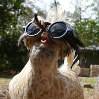 Kenneth Hoffman Photo 45 Kenneth Hoffman Photo 45