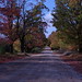 Gary Lester Photo 17