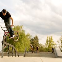 Matthew Grogan Photo 11