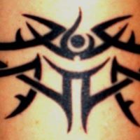 Dawn Stevens Photo 31