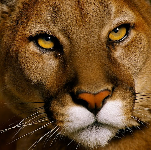 Rafael Aguirre Photo 31 Rafael Aguirre Photo 31