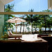 Teresa Whited Photo 22