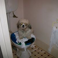 Janette Mitchell Photo 9