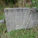 Stacey Gordon Photo 22
