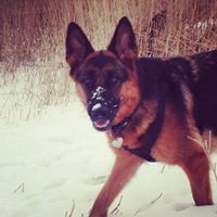 Russell Hargrove Photo 11