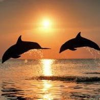 Janet Hedrick Photo 13