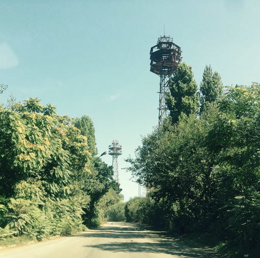 Michael Winkelmann Photo 17