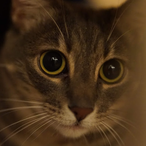 Sarah Hiller Photo 5