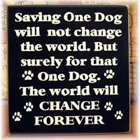 Kimberly Barnes Photo 15